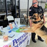 Peaceful Paws - In-Home Veterinary Care & End of Life Services in Illinois ico
