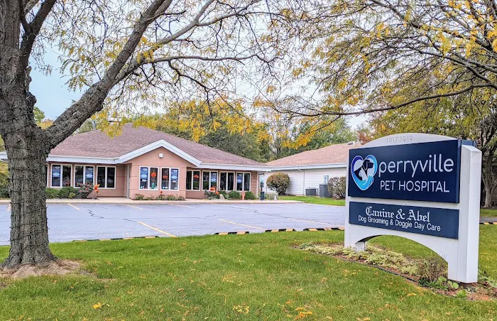 Peaceful Paws - In-Home Veterinary Care & End of Life Services in Illinois Picture 4