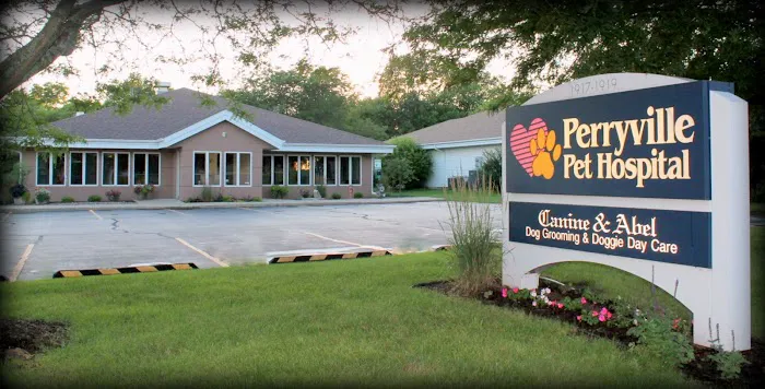 Peaceful Paws - In-Home Veterinary Care & End of Life Services in Illinois Picture 10