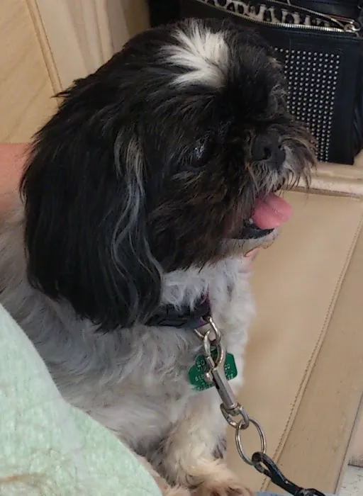CherryVale Animal Clinic Picture 4