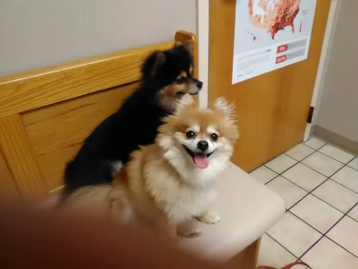 Animal Medical Clinic Picture 8