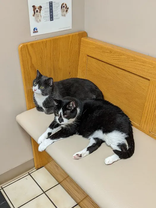 Animal Medical Clinic Picture 10