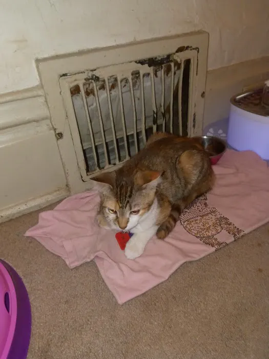 Noah's Ark Animal Clinic Picture 1