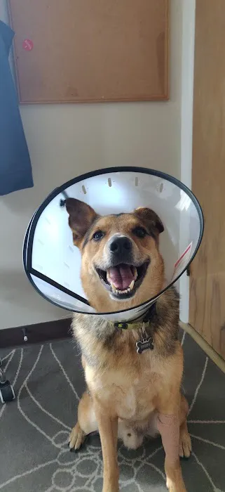 Noah's Ark Animal Clinic Picture 9