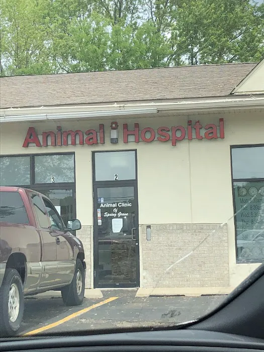 Animal Hospital of Spring Grove Picture 7