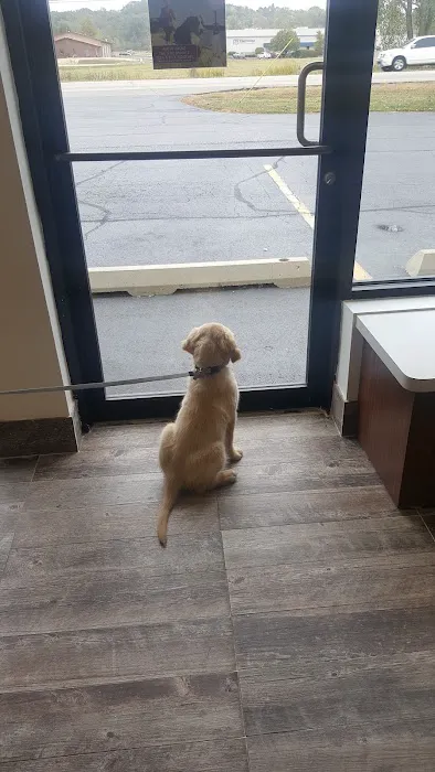Animal Hospital of Spring Grove Picture 6