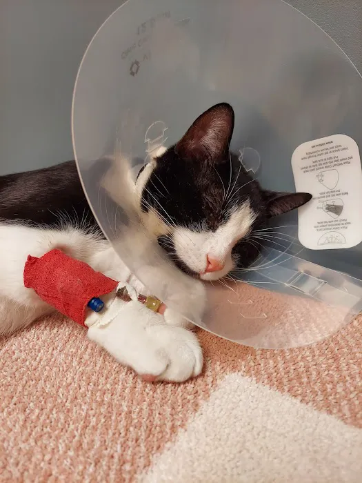 Antioch Animal Hospital Picture 1