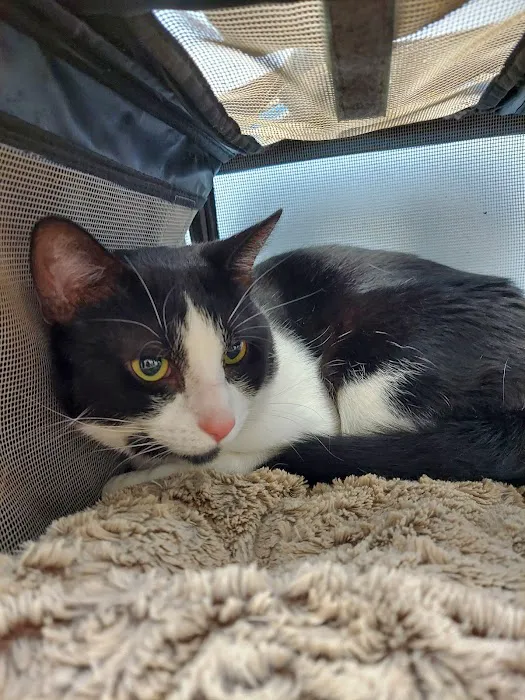 Antioch Animal Hospital Picture 4