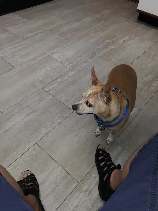 Antioch Animal Hospital Picture 10