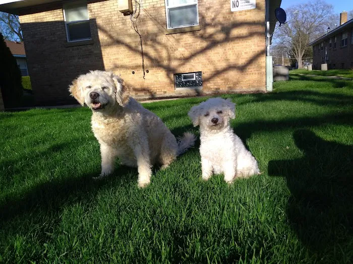 Lakes Animal Clinic Picture 9