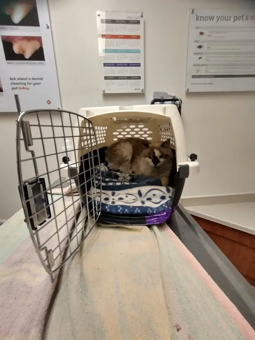 Banfield Pet Hospital Picture 4