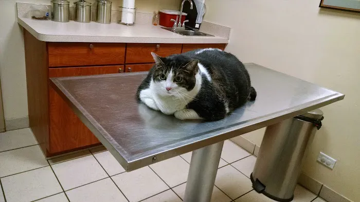 Banfield Pet Hospital Picture 5