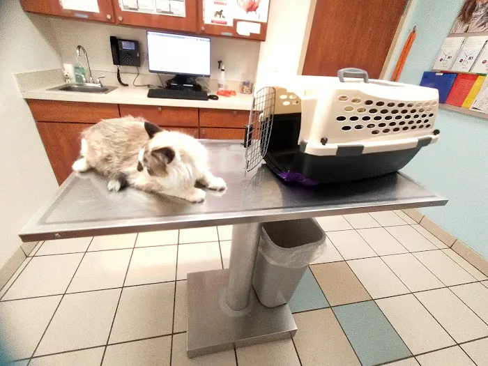 Banfield Pet Hospital Picture 7