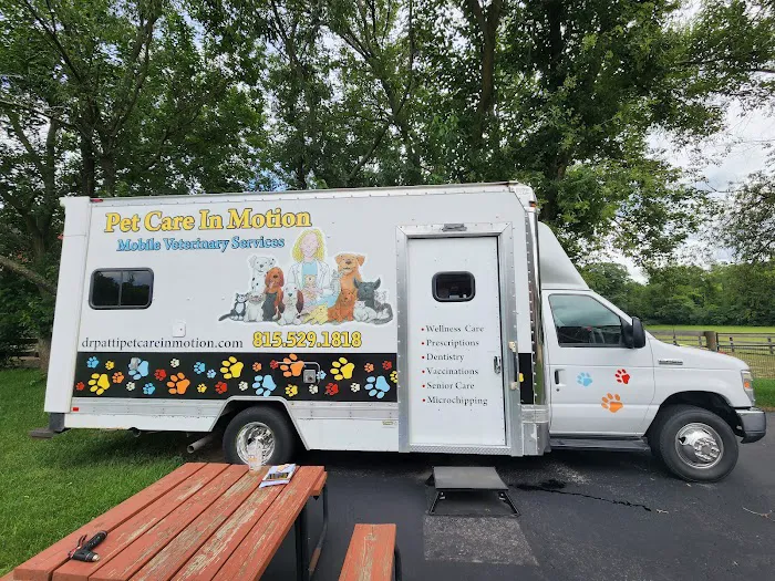 Pet Care In Motion Picture 2