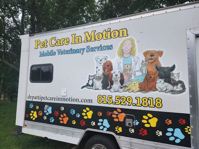 Pet Care In Motion Picture 3