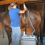 Cutting Edge Equine Veterinary