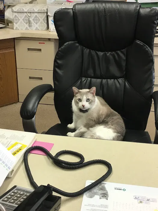 Hartland Veterinary Clinic Picture 9