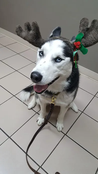 VCA Woodstock Veterinary Clinic Picture 10