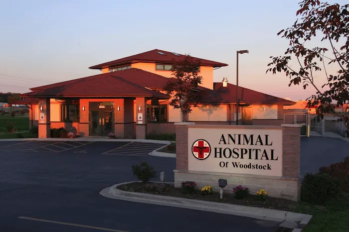 Animal Hospital of Woodstock Picture 4