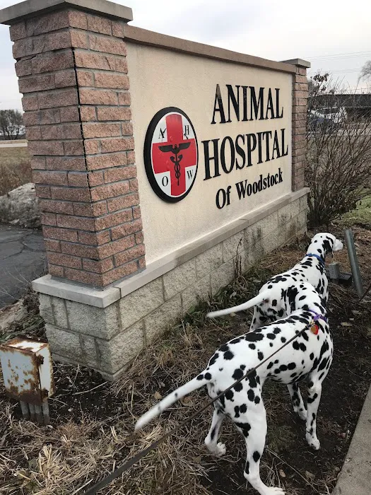 Animal Hospital of Woodstock Picture 7