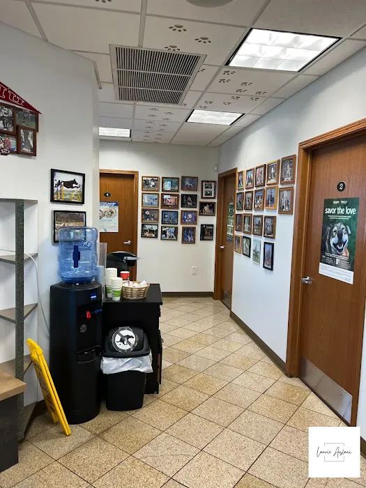 Animal Hospital of Woodstock Picture 9