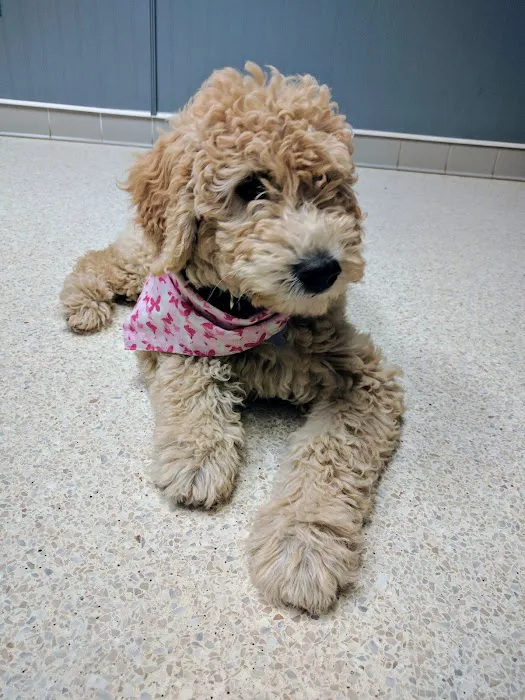 Woodstock Animal Hospital Picture 6