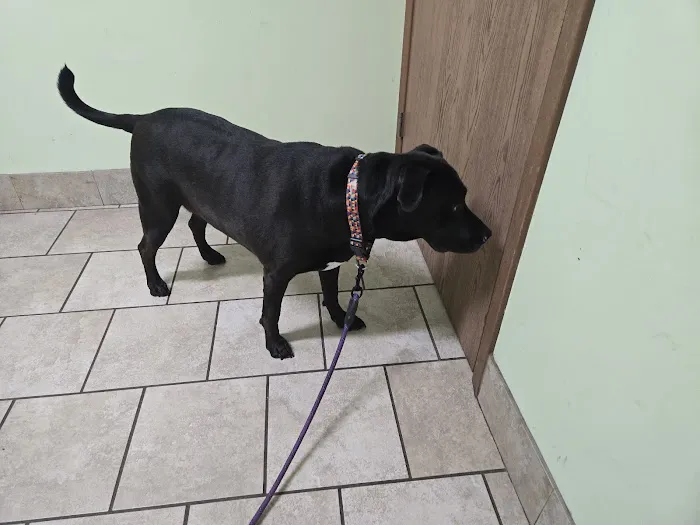 Belvidere Family Pet Hospital Picture 2