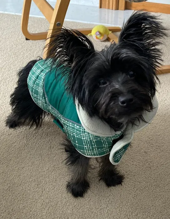 Belvidere Family Pet Hospital Picture 9