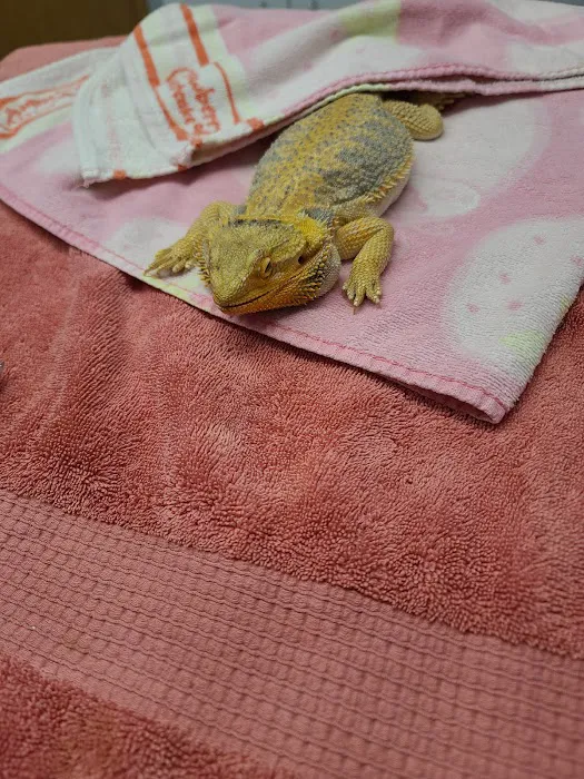 Bellwood Animal Hospital Picture 6