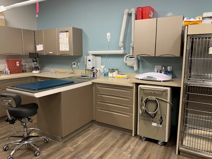 Gray Animal Hospital Picture 10