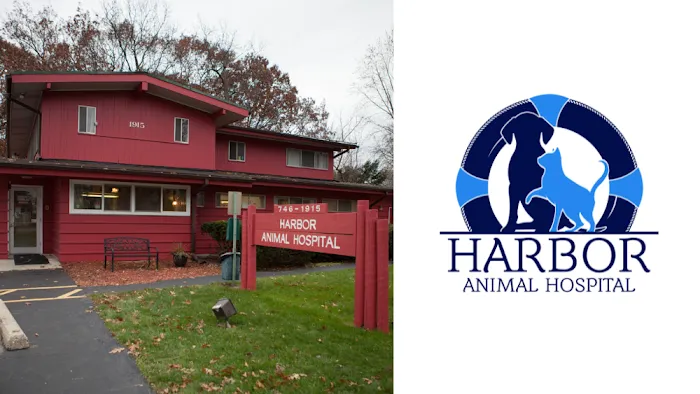 Harbor Animal Hospital Picture 9
