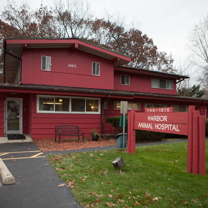 Harbor Animal Hospital Picture 10