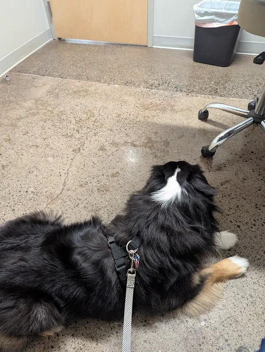 Timberland Veterinary Picture 4