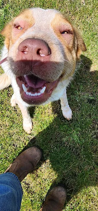 Timberland Veterinary Picture 8