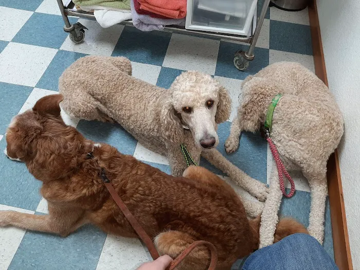 Rolling Hills Veterinary Clinic Picture 2