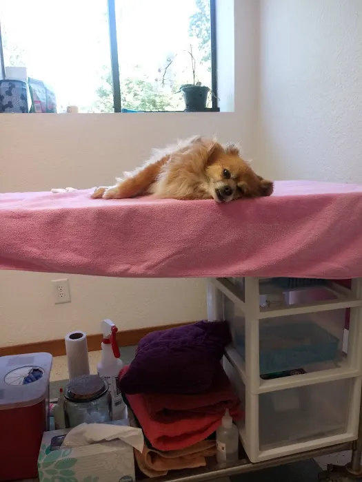 Rolling Hills Veterinary Clinic Picture 6