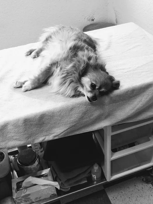 Rolling Hills Veterinary Clinic Picture 10