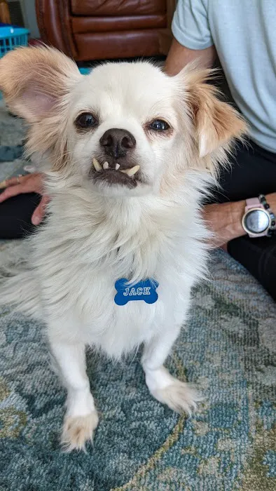 Antonio Animal Hospital Picture 2