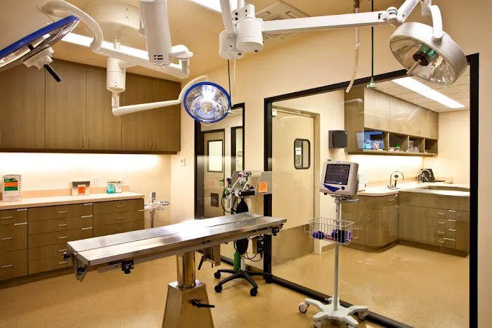 San Clemente Veterinary Hospital Picture 2
