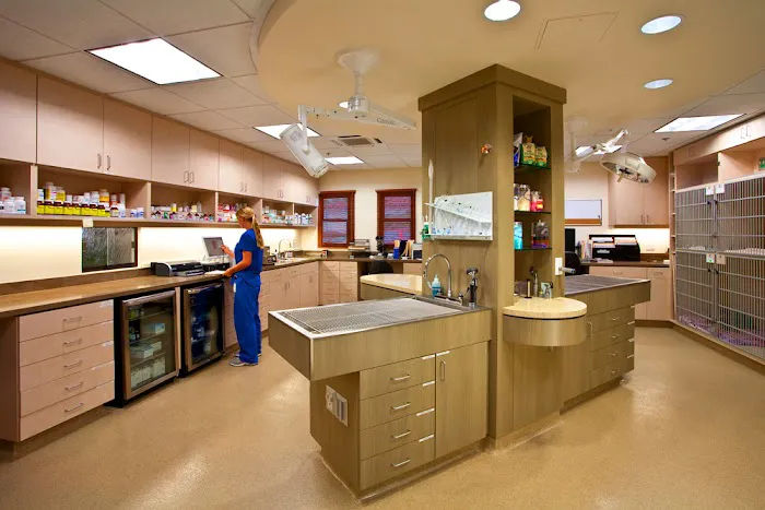San Clemente Veterinary Hospital Picture 1
