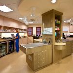 San Clemente Veterinary Hospital