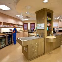 San Clemente Veterinary Hospital ico