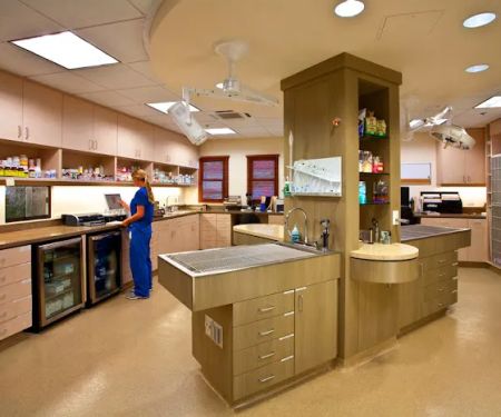 San Clemente Veterinary Hospital
