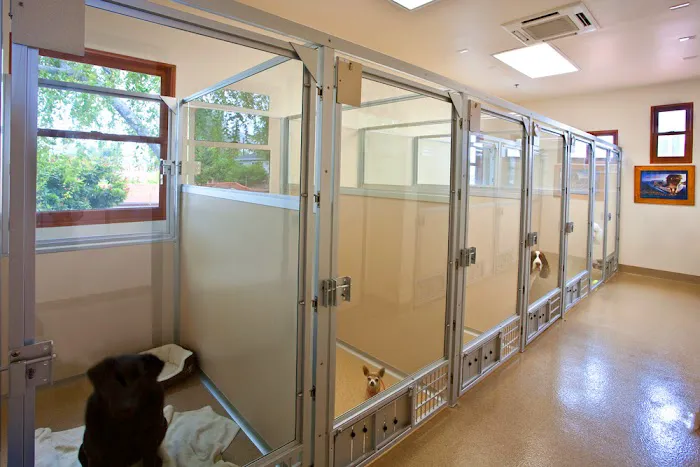 San Clemente Veterinary Hospital Picture 4