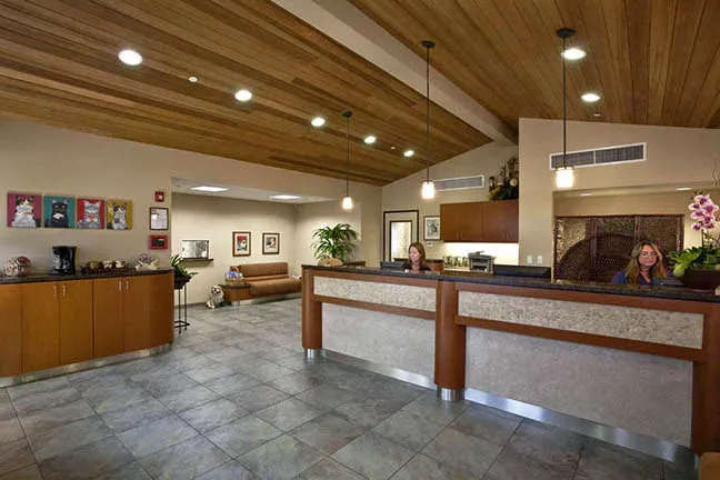 San Clemente Veterinary Hospital Picture 5