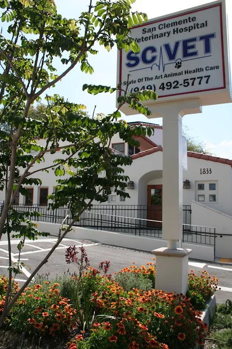 San Clemente Veterinary Hospital Picture 10
