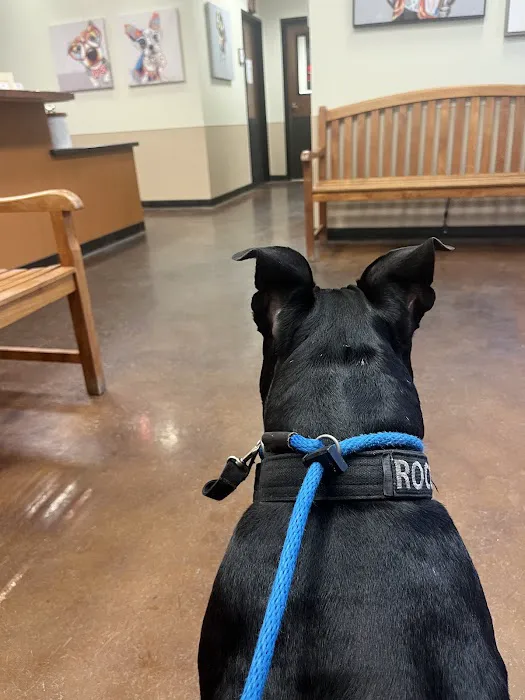 Camino Veterinary Hospital Picture 3