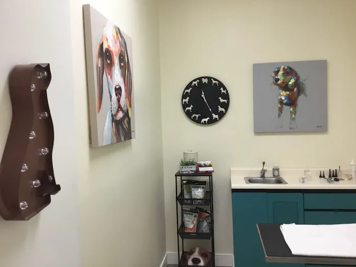 Camino Veterinary Hospital Picture 1