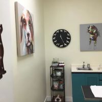 Camino Veterinary Hospital ico