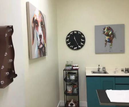Camino Veterinary Hospital